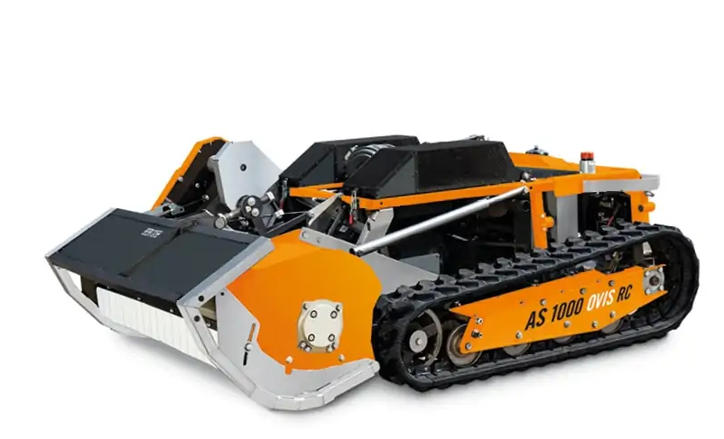 AS-Motor 1000 Ovis RC